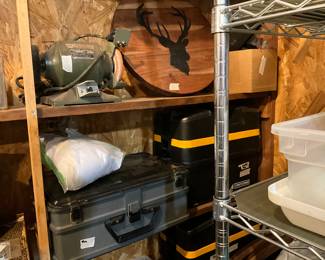 Man cave in back yard