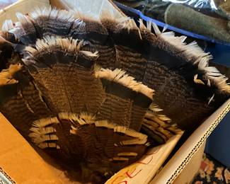 Man cave in back yard