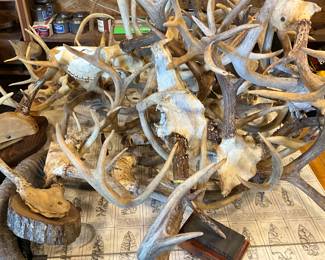 Man cave in back yard