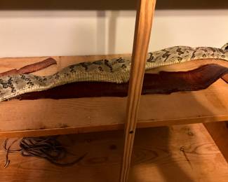 Man room - yikes - snake skins!