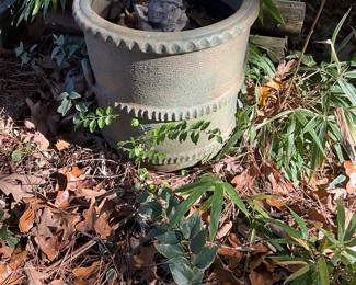 Patio area in back yard 