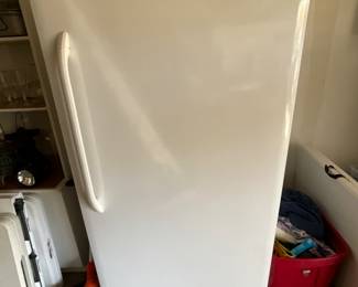Picture of freezer closed - Garage