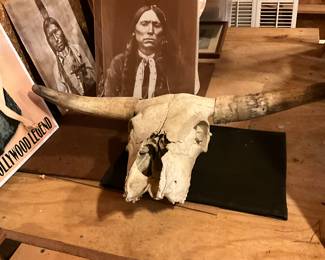 Man cave in back yard