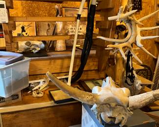 Man cave in back yard