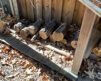 Outside around man cave in back yard 