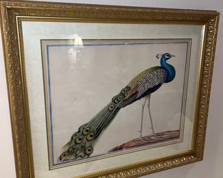 Vintage Framed Peacock Print
