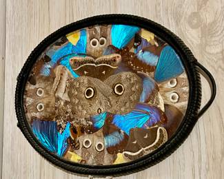 Butterfly wing traySOLD!