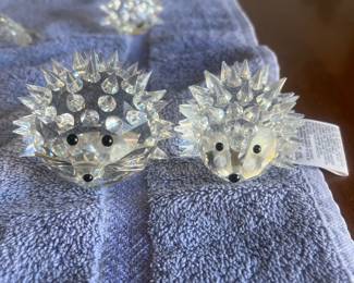 Every hedgehog starting at $25.00