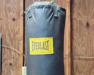 Large Punchbag 