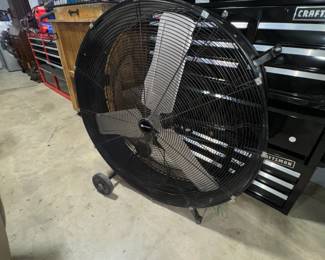 Shop Fan Orlando Estate Auction