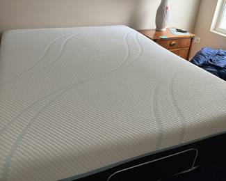 Motorized Queen bed with box spring bed goes up and down