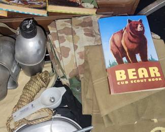 Cub scout book