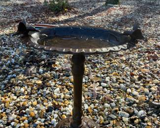 Bird Bath