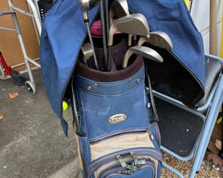 Ping Golf Bag
$30