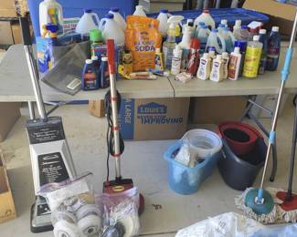 Household Cleaning Mystery