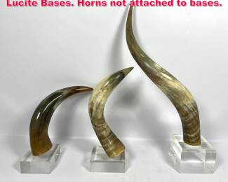 Lot 384 3pc Natural Bull Steer Horns On Lucite Bases. Horns not attached to bases.