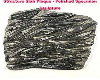 Lot 243 Large 26 in Orthoceras Fossil Structure Slab Plaque Polished Specimen Sculpture