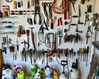 Gentlemen, welcome to Ace Hardware.  This one stands out because of the sheer volume of items.  