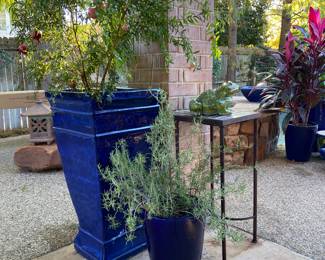 Cobalt Blue Glazed Planters with Pomegranate and Rosemary 
