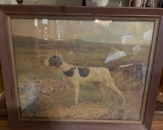 Vintage Pointer Hunting Dog  Framed Print
