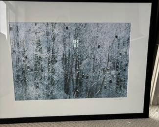 $90 Charles Sleicher photograph "Bald Eagles". Available during online shopping starting at 6pm on Wednesday per the instructions in the sale description.