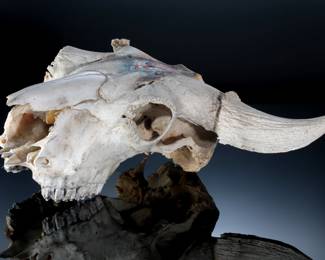 Arlene Hooker Fay Buffalo Skull Art Native American Southwest
