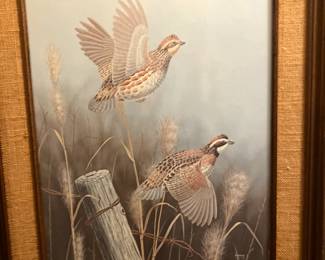 Signed/numbered quail print