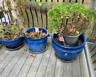 Large garden pots