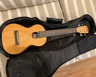 Kala tenor uke model KA-TEM