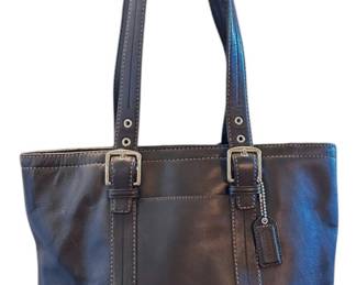 Authentic Coach Purse Small