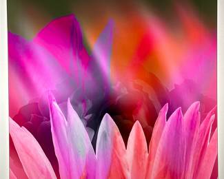 CONTEMPORARY LUCITE FLOWER ART | A contemporary artwork featuring an abstract floral composition rendered in vivid hues of orange, purple, and red. The piece is printed on Lucite, creating a glossy and dimensional finish that emphasizes the vibrant colors and layered details of the floral forms. No visible artist signature or title is present. - h. 30 x w. 30 x d. 1 in