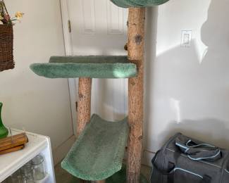 cat stuff