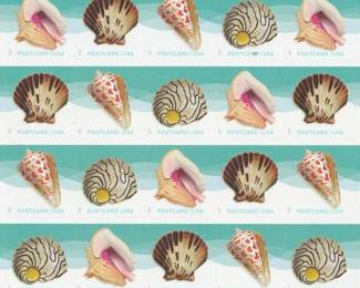 USPS Seashells Postcard Stamps 