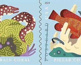 Coral Reefs Postcard Rate Postage Stamp 