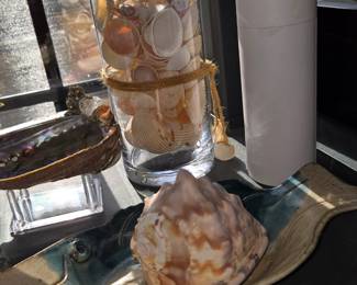 Glass Container with Shells, Fish Pottery, Seashell