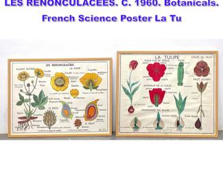 Lot 746 2pc French Posters LA TULIPE and LES RENONCULACEES. C. 1960. Botanicals. French Science Poster La Tu