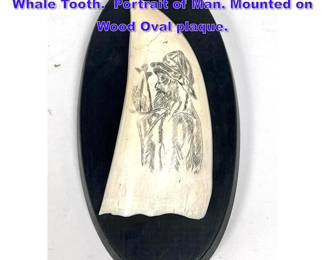 Lot 1169 Vintage Carved Scrimshaw Sperm Whale Tooth. Portrait of Man. Mounted on Wood Oval plaque. 