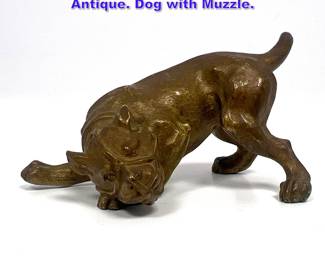 Lot 1178 Austrian Bronze Dog Figure. Antique. Dog with Muzzle. 