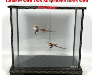 Lot 2189 Large Glass Side Display Case Cabinet with Two Suspended Birds with Feathers.