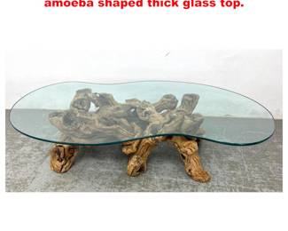Lot 2007 Driftwood Coffee table with amoeba shaped thick glass top.