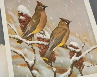 Virginia Wildlife Magazine collection of prints