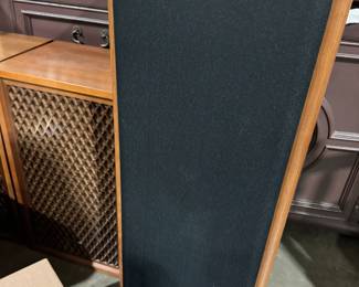 Technics and Sonics floor speakers