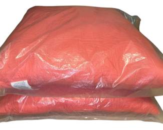 Two NEW Coastal Euro Pillows 