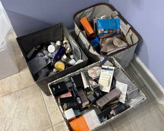 Boxes and Boxes of Skin, Make Up and Beauty Products