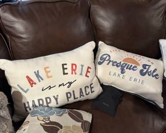 Tons and Tons of Pillows 