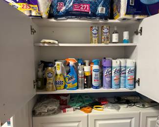 Tons of Cleaning Products