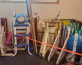 Dog Agility Equipment