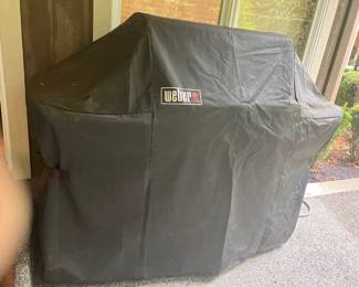 Weber grill