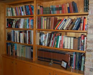 Many Fun Books from History to Contemporary