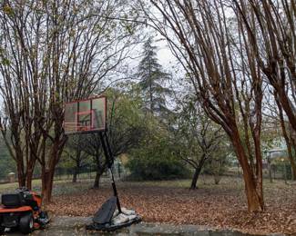 WNBA Basketball Goal 